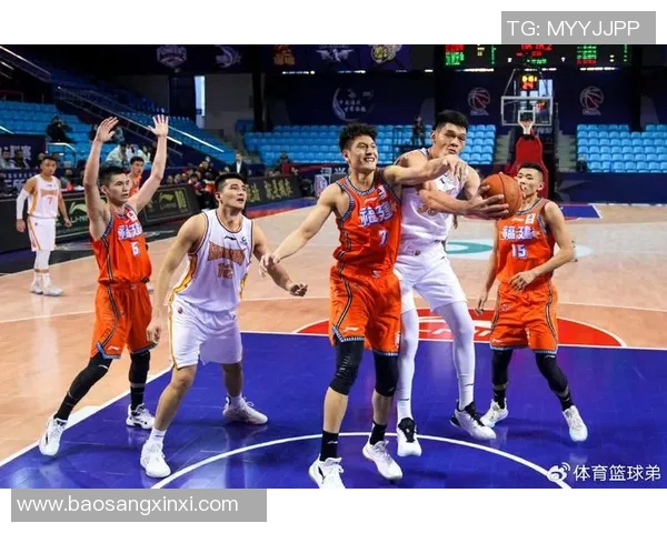 杭州排球队阵地战体系解析与战术创新探讨